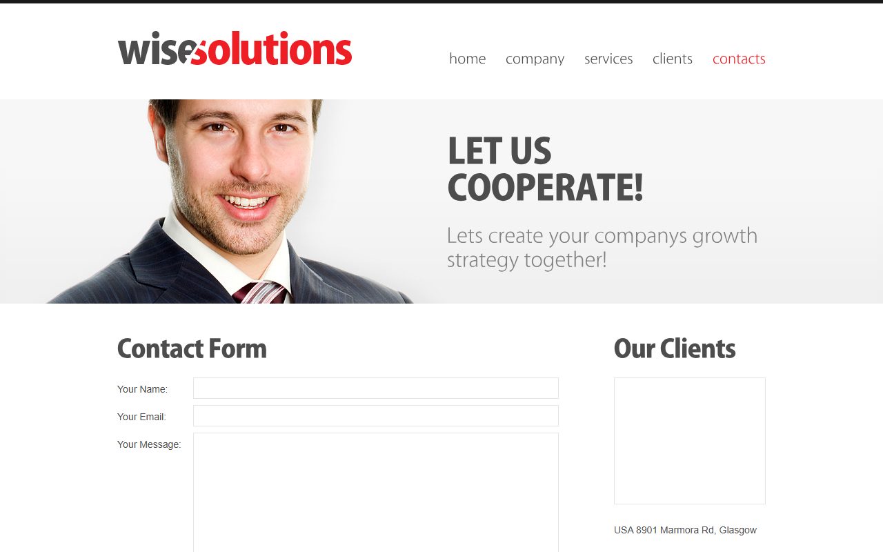 wisesolutions · 响应式网站模板 图 2