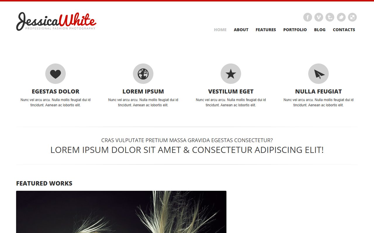 JessicaWhite professional fash · 响应式网站模板 图 1