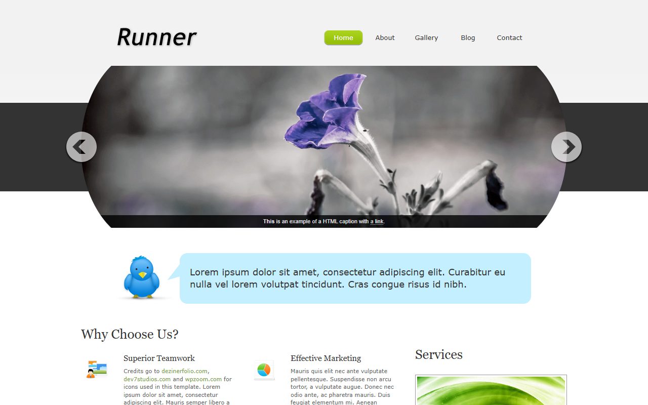 摄影作品模板 · Runner Free · 响应式网站模板 图 1