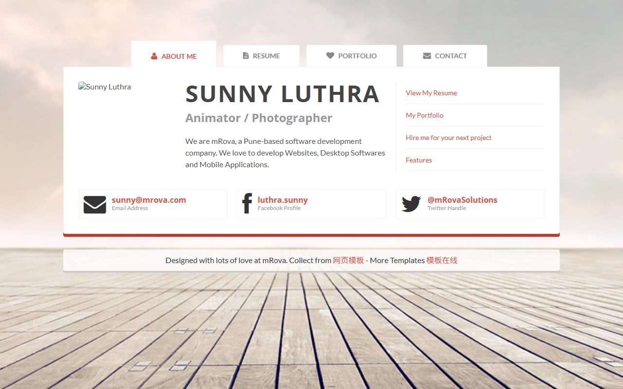 旅游出行模板 · Sunny Luthra · 响应式网站模板 图 1