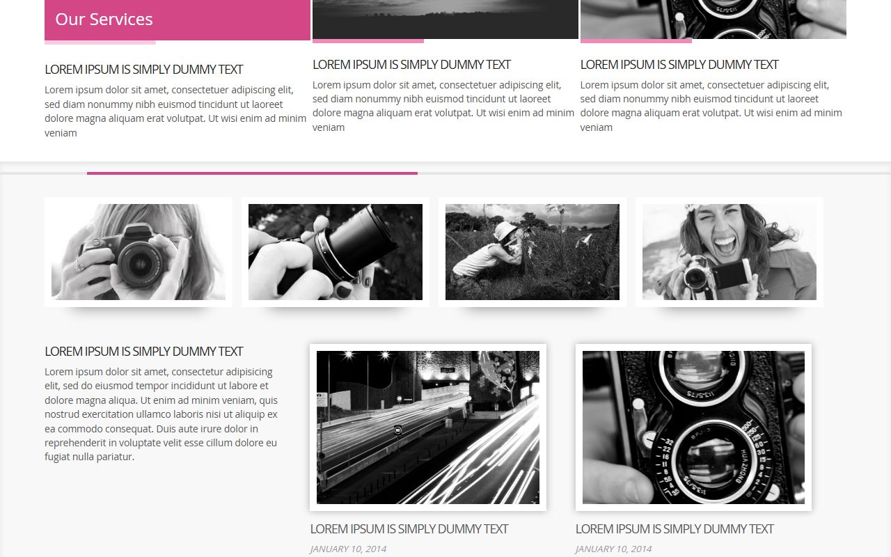 企业官网模板 · Free Pix · 响应式网站模板 图 2
