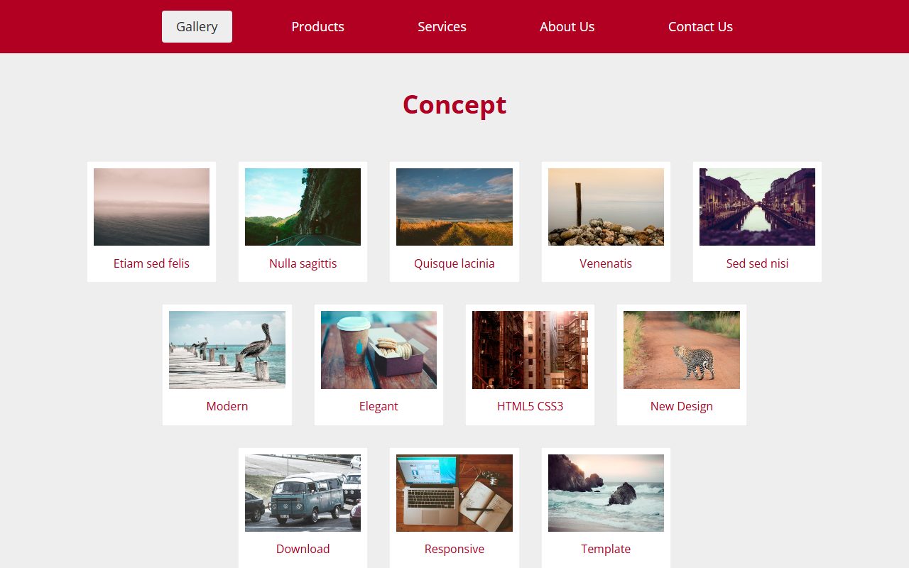 摄影作品模板 · Concept HTML5 · 响应式网站模板
