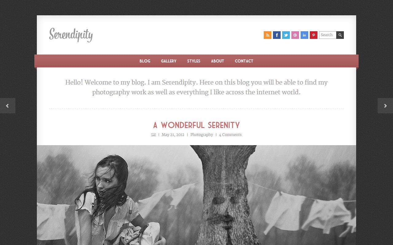 摄影作品模板 · Serendipity · 响应式网站模板 图 1