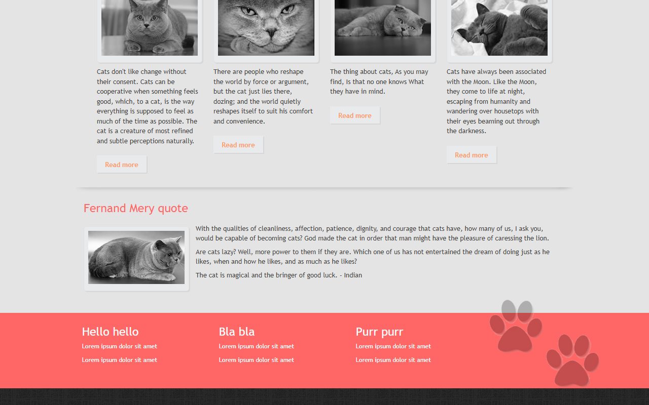 宠物服务模板 · Cat · 响应式网站模板 图 2