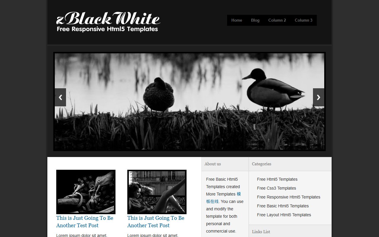 博客资讯模板 · zBlackWhite Free · 响应式网站模板