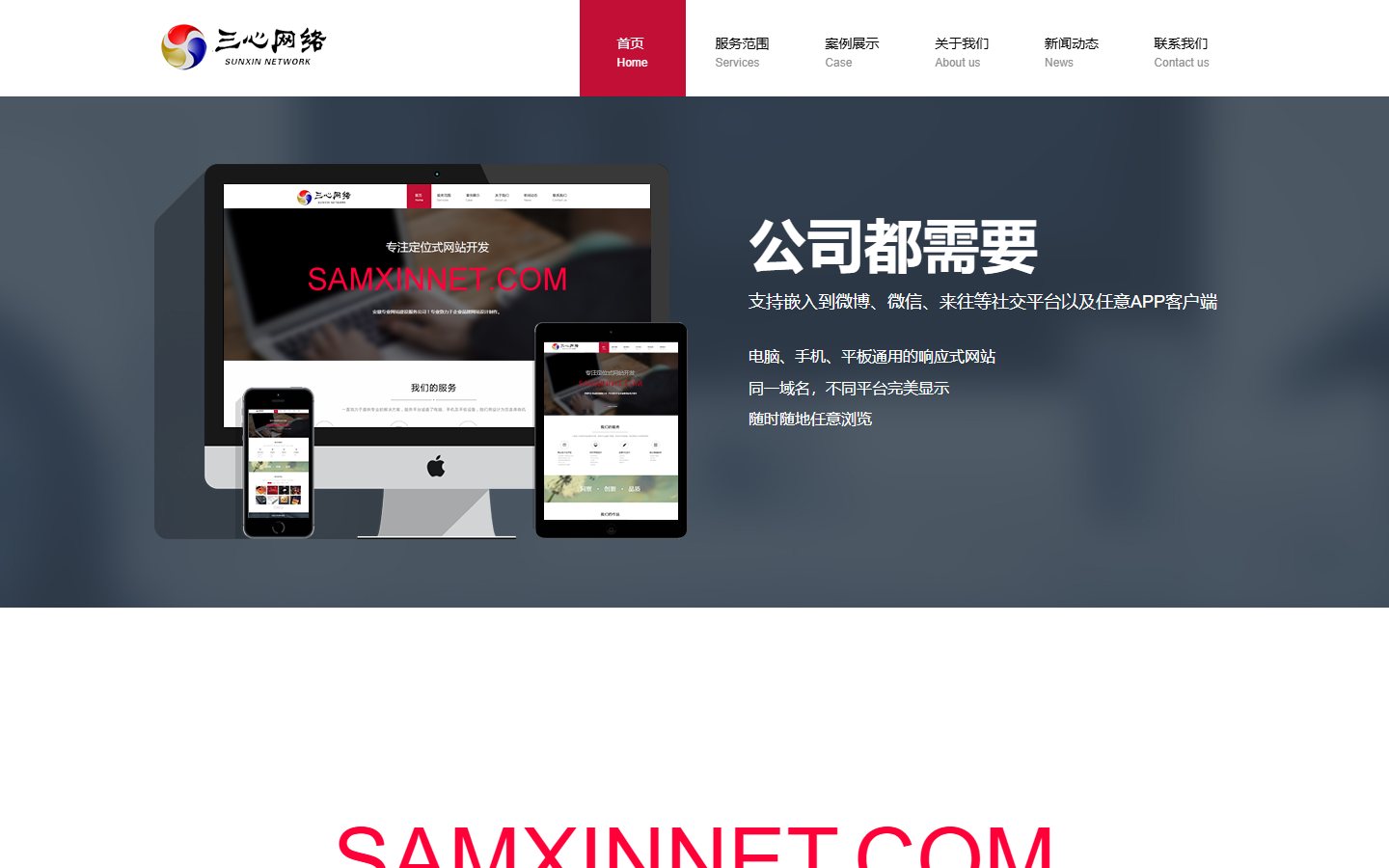 网站开发 / 软件外包官网模板